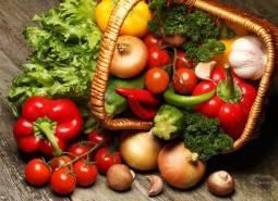 山丹縣郇祿農業家庭農場777平米蔬菜保鮮冷庫安裝工程
