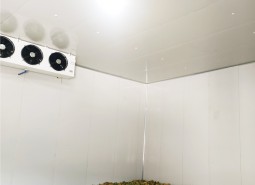 酒泉89.6立方蔬菜保鮮冷庫設計工程-萬能制冷