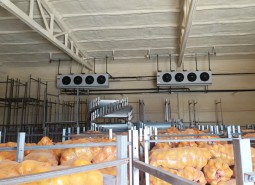 土豆冷庫安裝及設計工程匯總-萬能制冷冷庫