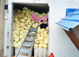 天水52.5平米蔬菜保鮮冷庫設計工程-萬能制冷