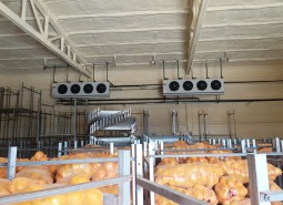 張掖山丹1103平米土豆保鮮冷庫設計工程-萬能制冷