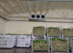 蘭州市皋蘭縣水果保鮮冷庫安裝工程-萬能制冷