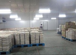 金昌市金川區30平米蔬菜保鮮庫安裝工程-萬能制冷